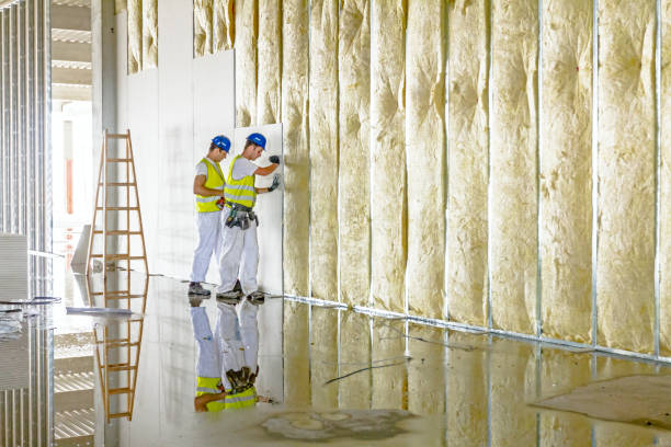 Best Garage Insulation  in Harrisonburg, VA